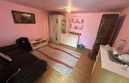 Casa 2 corpuri, 4 camere, teren 1,1ha Comuna Blandiana