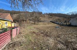 Casa 2 corpuri, 4 camere, teren 1,1ha Comuna Blandiana