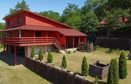 Casa de vânzare 5 camere Sugag - 167710CV | BLITZ Alba Iulia | Poza2