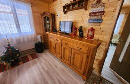 Casa de vacanta superba,cu 5 camere,300 mp utili,Valisoara