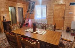 Casa de vacanta superba,cu 5 camere,300 mp utili,Valisoara