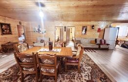 Casa de vacanta superba,cu 5 camere,300 mp utili,Valisoara