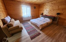 Casa de vacanta superba,cu 5 camere,300 mp utili,Valisoara