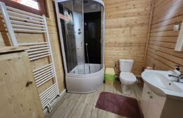 Casa de vacanta superba,cu 5 camere,300 mp utili,Valisoara