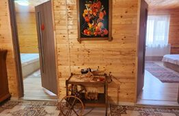 Casa de vacanta superba,cu 5 camere,300 mp utili,Valisoara