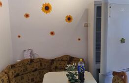 Garsoniera , 32 mp utili, zona Cetate 