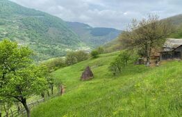 Pasune,6701 mp,pretabil pentru casa de vacanta