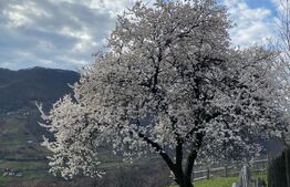 Pasune,6701 mp,pretabil pentru casa de vacanta