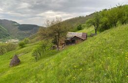 Pasune,6701 mp,pretabil pentru casa de vacanta