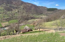 Pasune,6701 mp,pretabil pentru casa de vacanta