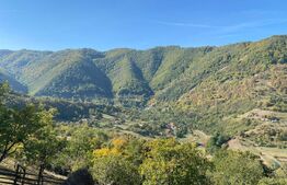 Pasune,6701 mp,pretabil pentru casa de vacanta