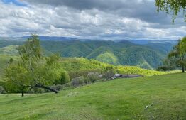 Pasune,6701 mp,pretabil pentru casa de vacanta