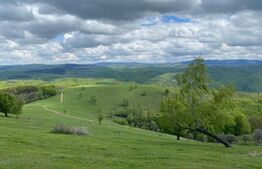 Pasune,6701 mp,pretabil pentru casa de vacanta