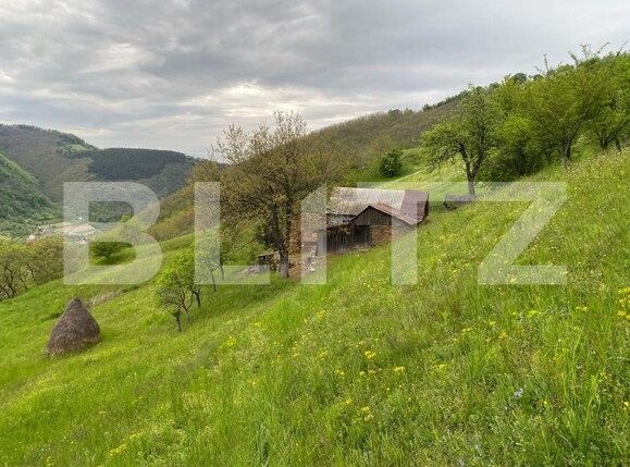 Teren de vânzare Sebeș - 166471TV | BLITZ Alba Iulia | Poza1