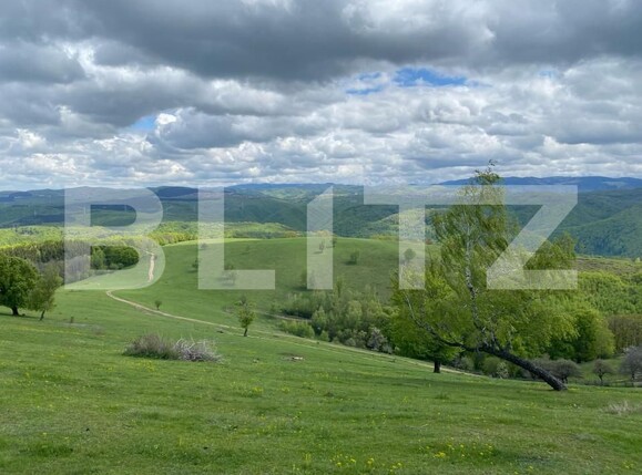 Teren de vânzare Sebeș - 166471TV | BLITZ Alba Iulia | Poza3