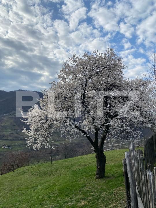 Teren de vânzare Sebeș - 166471TV | BLITZ Alba Iulia | Poza6