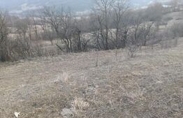 Teren intravilan 4300 mp apa si curent In Ampoita