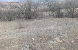Teren intravilan 4300 mp apa si curent In Ampoita