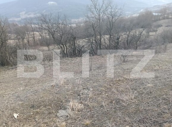 Teren de vânzare Ampoita - 166611TV | BLITZ Alba Iulia | Poza1