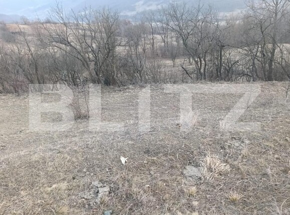 Teren de vânzare Ampoita - 166611TV | BLITZ Alba Iulia | Poza2