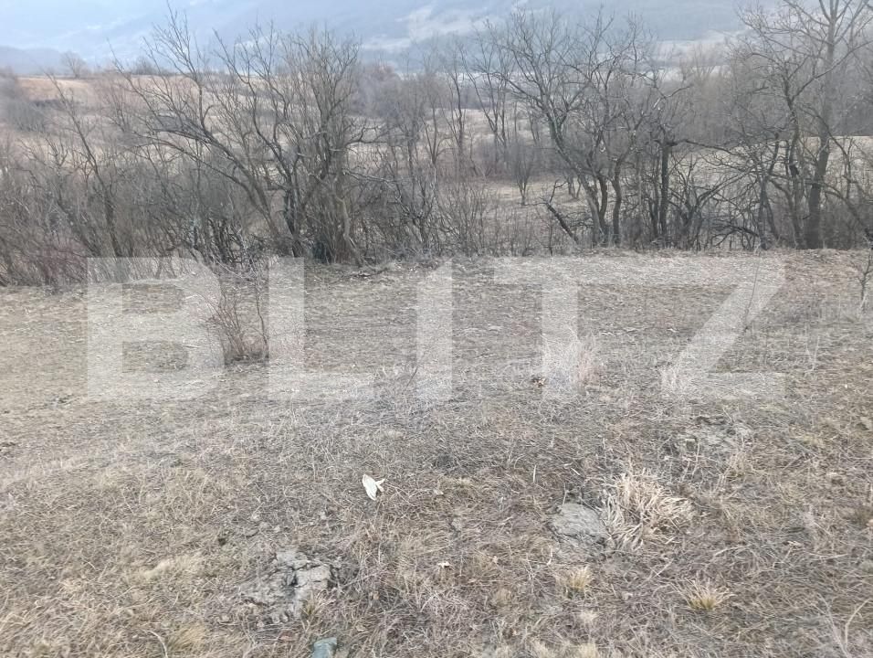 Teren de vânzare Ampoita - 166611TV | BLITZ Alba Iulia | Poza2