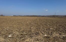 Teren intravilan, 2900 mp, zona Soseaua de centura