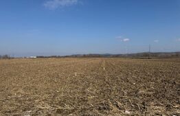 Teren intravilan de vanzare,2900mp - Soseaua de centura 