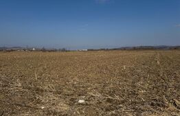 Teren intravilan, 2900 mp, zona Soseaua de centura