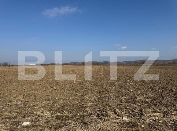 Teren de vânzare Sud Est - 166683TV | BLITZ Alba Iulia | Poza2