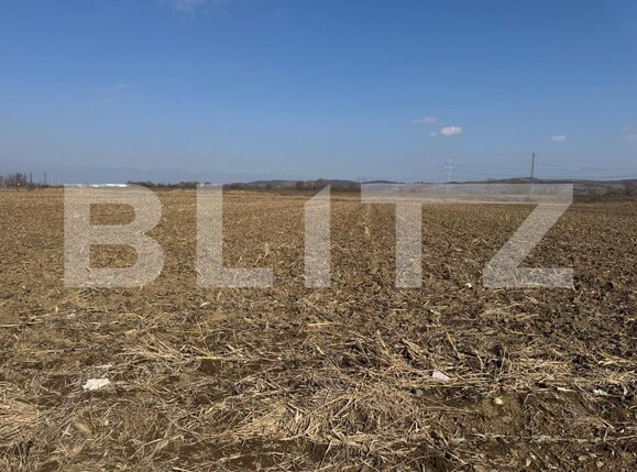 Teren de vânzare Sud Est - 166683TV | BLITZ Alba Iulia | Poza3
