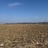 Teren de vânzare Sud Est - 166683TV - Poza 1 din 3 | BLITZ Alba Iulia | Poza1
