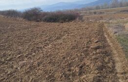 Teren in Salistea, 15800 mp