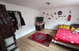 Casa renovabila 5 camere baie si anexe 2800 mp teren in   Pianu de Sus