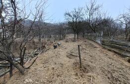 Casa renovabila 5 camere baie si anexe 2800 mp teren in   Pianu de Sus