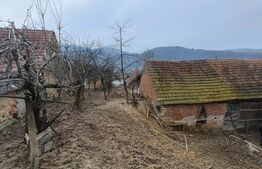 Casa renovabila 5 camere baie si anexe 2800 mp teren in   Pianu de Sus