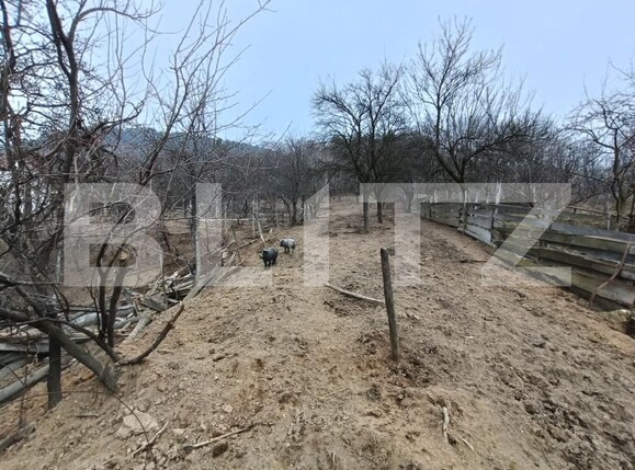 Casa de vânzare 5 camere Exterior Sud - 166793CV | BLITZ Alba Iulia | Poza8