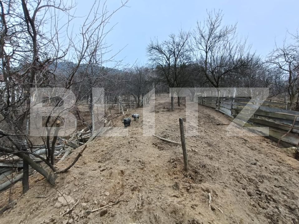 Casa de vânzare 5 camere Exterior Sud - 166793CV | BLITZ Alba Iulia | Poza8