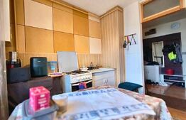 Apartament confortabil de 2 camere, 50 mp, etaj 1, zona Ampoi 3