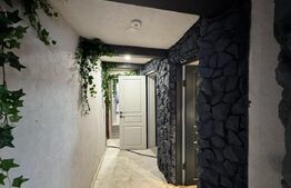 Spatiu comercial 330 mp utili, pretabil restaurant și pub, zona Centru