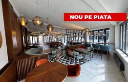 Spatiu comercial 330 mp utili, pretabil restaurant și pub, zona Centru