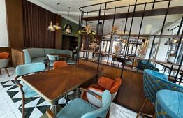 Spatiu comercial 330 mp utili, pretabil restaurant și pub, zona Centru