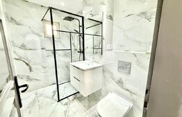 Apartament de inchiriat pretabil pentru BUSINESS