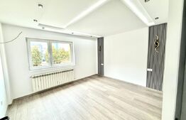 Apartament de inchiriat pretabil pentru BUSINESS