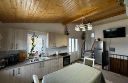 Casă ideală cu 5 camere, 1514 mp teren, în centrul orașului Sebes