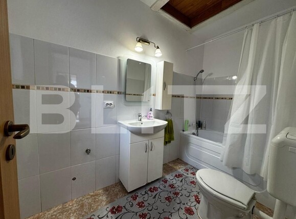 Casa de vânzare 5 camere Sebeș - 167090CV | BLITZ Alba Iulia | Poza14