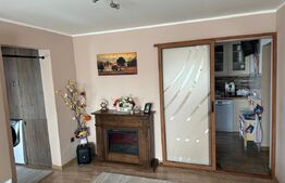 Apartament cu 3 camere, 65 mp, etaj intermediar, zona cetate