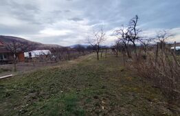 Casa individuala, 5 camere, 350 mp, zona Sard