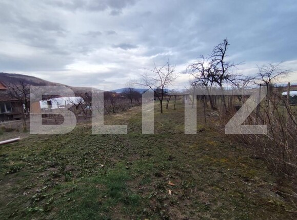 Casa de vânzare 5 camere Sard - 167299CV | BLITZ Alba Iulia | Poza4