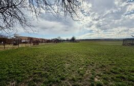 Casă ,4 camere, 255 mp, zona  Balomir 