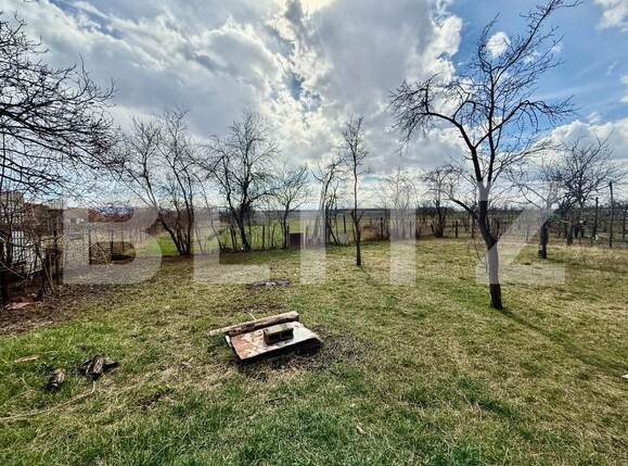 Casa de vânzare 4 camere Exterior Vest - 167329CV | BLITZ Alba Iulia | Poza10